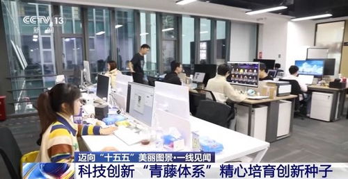 一線見聞丨順藤摸瓜 深圳科創(chuàng)青藤體系如何賦能硬科技轉(zhuǎn)化